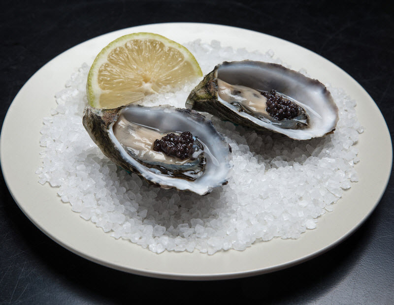Fresh Australian oysters on plate served with lemon