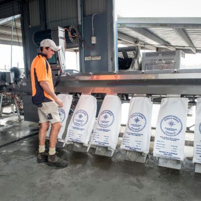 Automated oyster grading